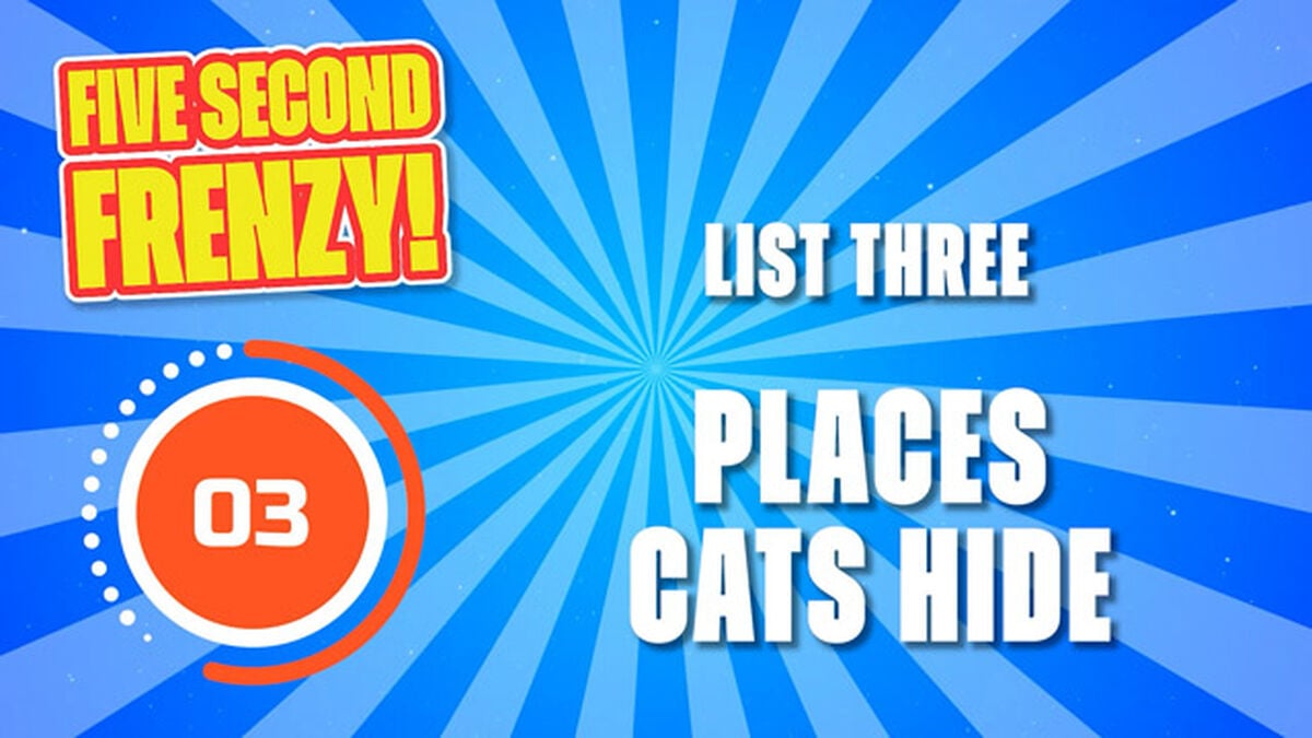 Five Second Frenzy image number null